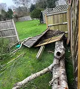 Large fallen tree removed safely in Wokingham after storm by Bennetts Tree Care Ltd