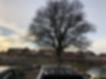 IMG_1985.jpeg