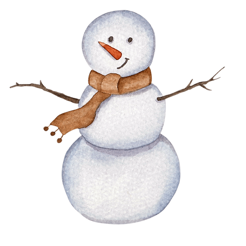 bohomme de neige.png