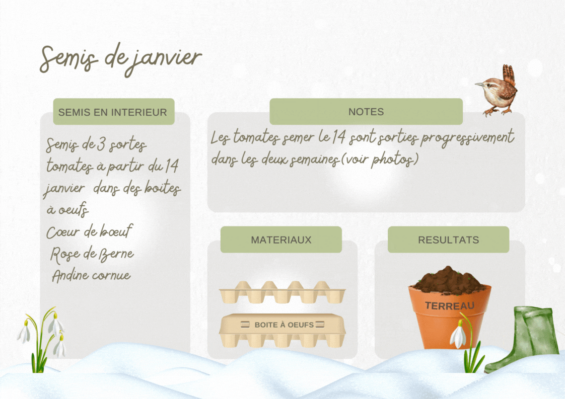 calendrier de janvier.gif