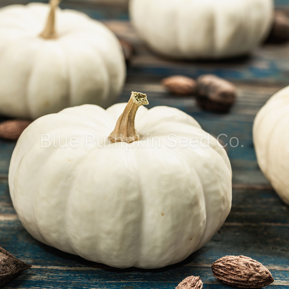 Miniatura: Baby Boo Pumpkins and almonds.