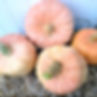 Four Australian Butter pumpkins on a bail of hay.