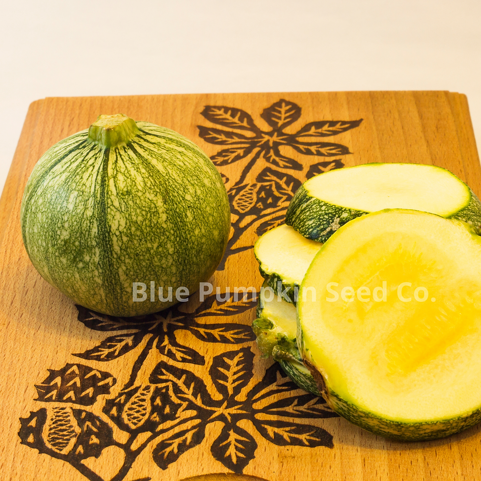 Miniatura: Round zucchini on decorative wooden plate