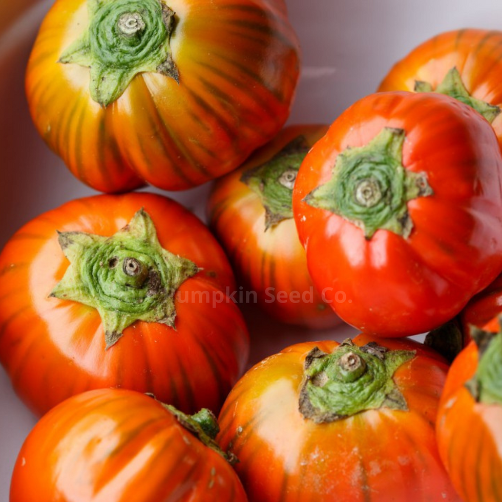 Thumbnail: Shiny Turkish eggplants on display