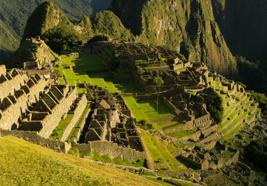 A Challenging November Break: Store Closure, Shoulder Surgery, and Seed Hunting in Peru.