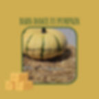 Barn Dance promo video.