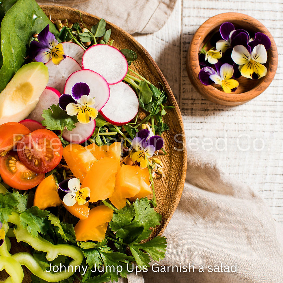 Thumbnail: A fresh salad with Johnny Jump-Ups as a garnish.
