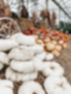 A large stack of Flat Stacker pumpkins at a fall festival.