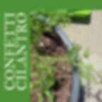 Confetti cilantro promo video.