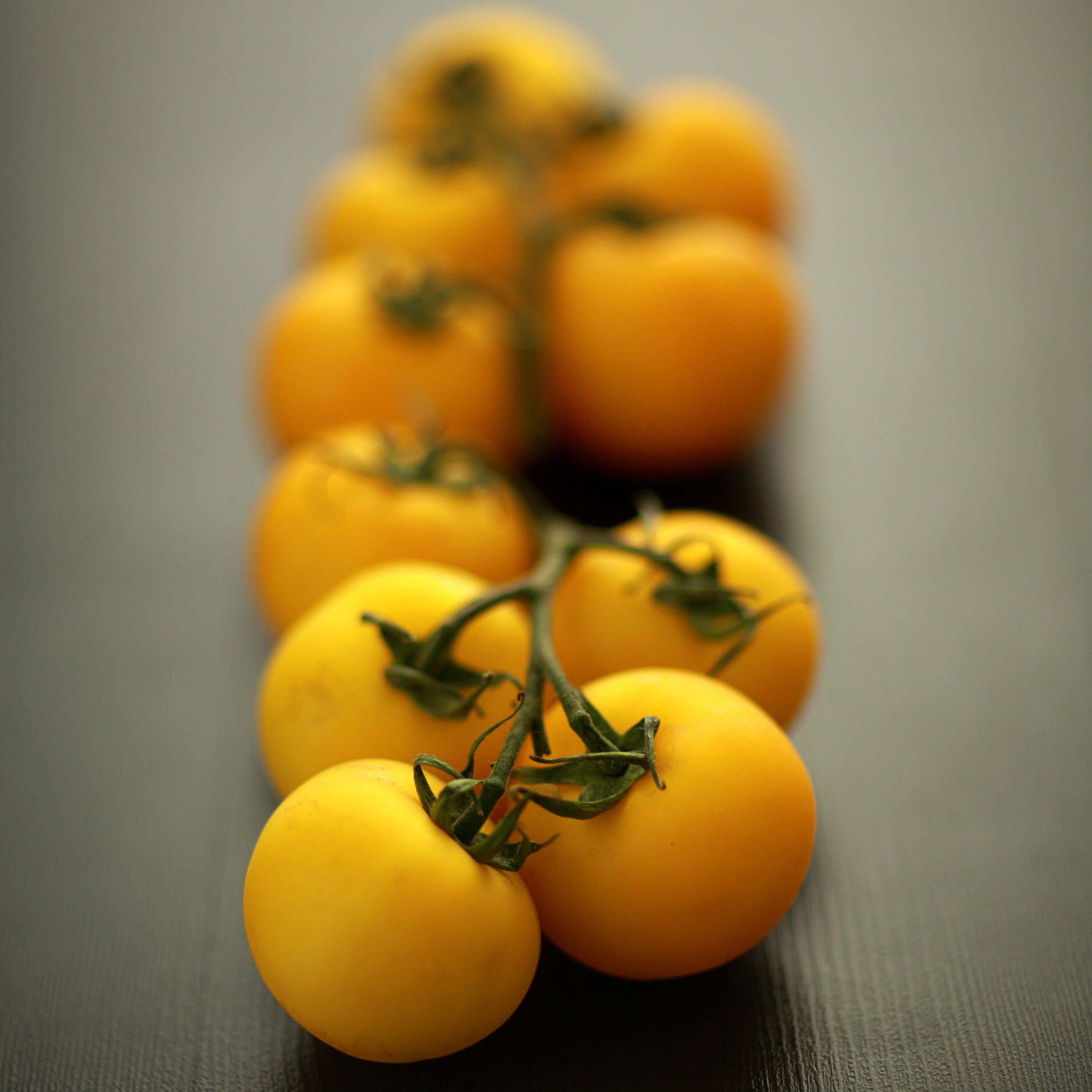 A branch loaded with Yellow currant tomatoes.