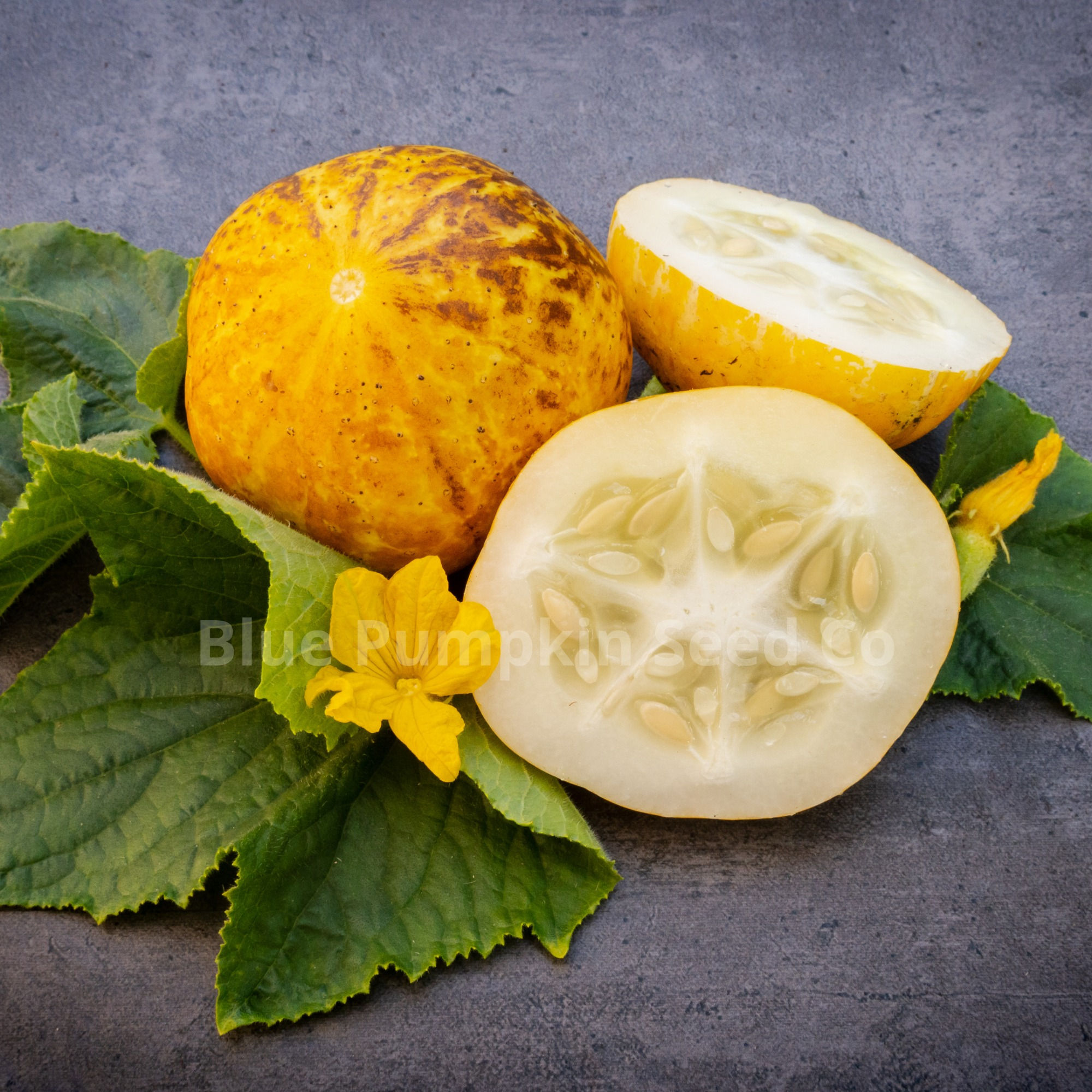Lemon Cucumber seeds