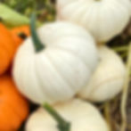 A small stack of Moon Pie pumpkins.