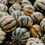 Miniatura: A large amount of Jester Delicata squash on a table.