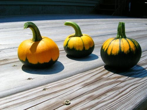 Miniatura: Three Batwing pumpkins