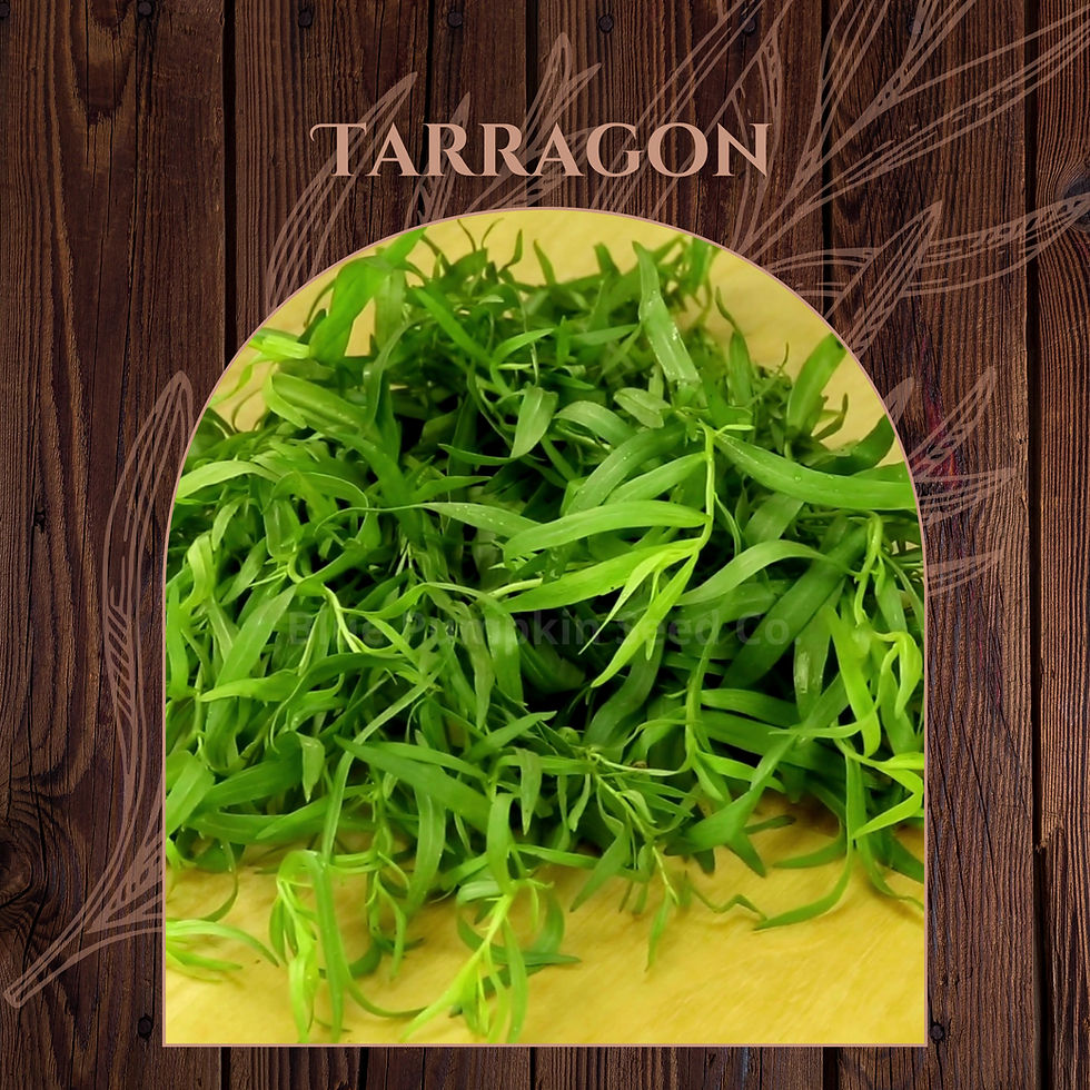 Miniatura: Tarragon seeds