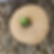 Thumbnail: The top view of a Hot Chocolate F1 pumpkin.