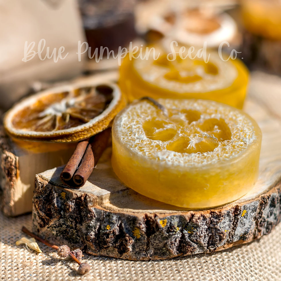 Thumbnail: Luffa gourd made into soap.