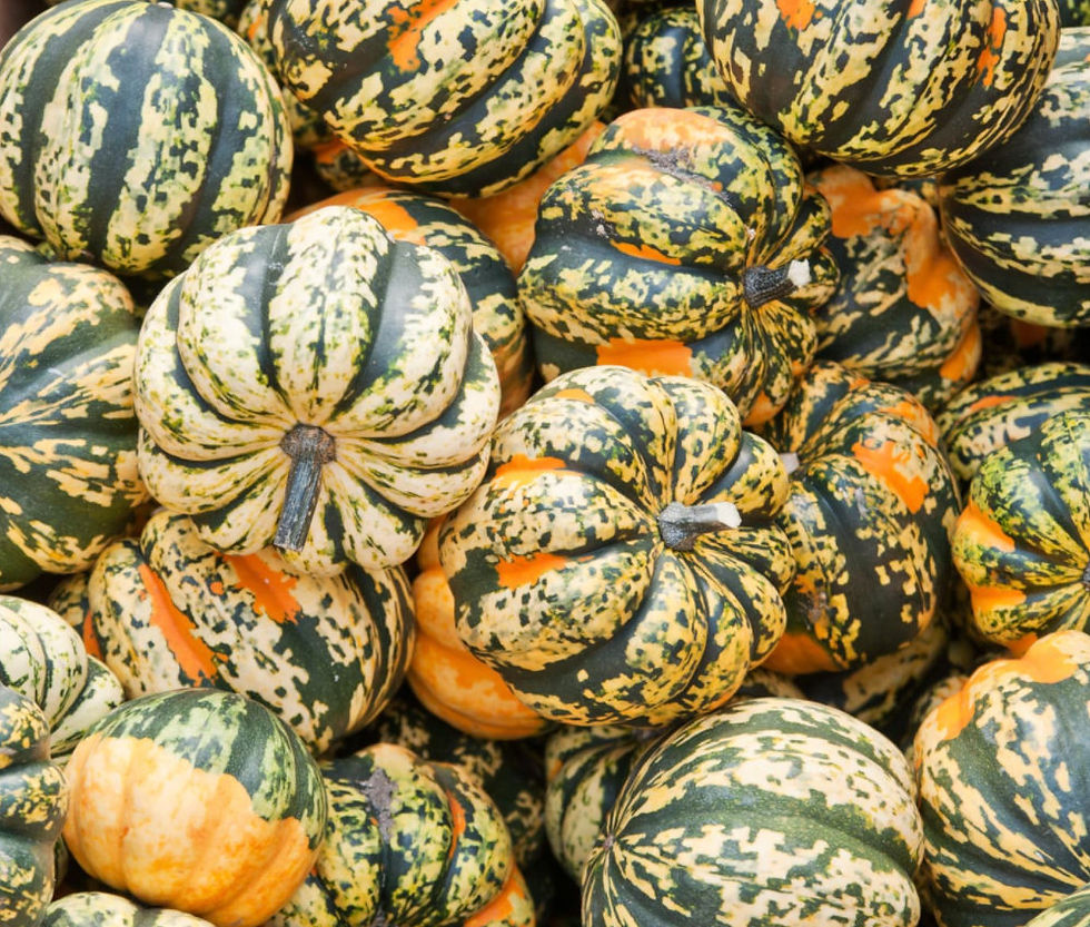 Miniatura: A pile of Carnival Squash.