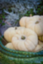 Thumbnail: Fall mini pumpkin seed mix