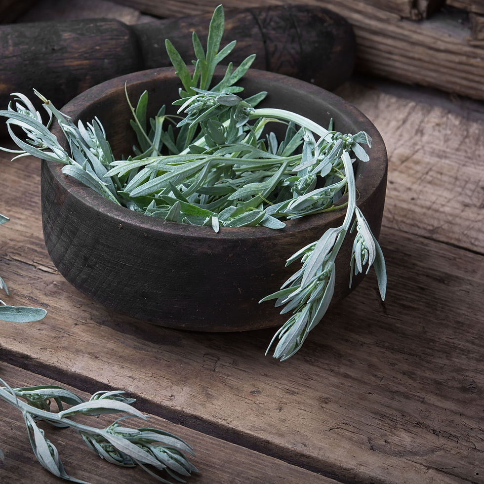 cA wooden bowl with a sprig of common wormwood.