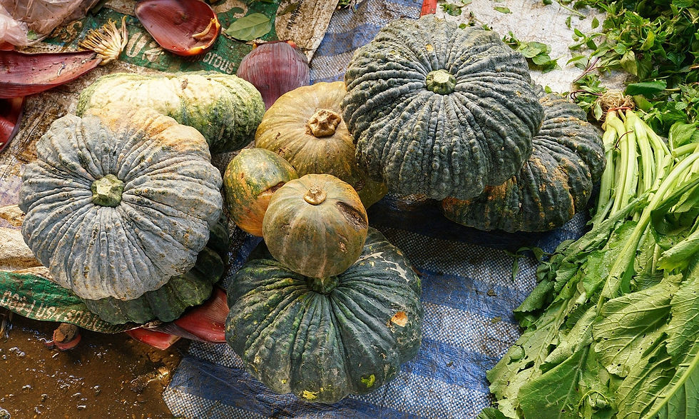 Thumbnail: Several Thai Kang Kob pumpkins are next to Asian greens.