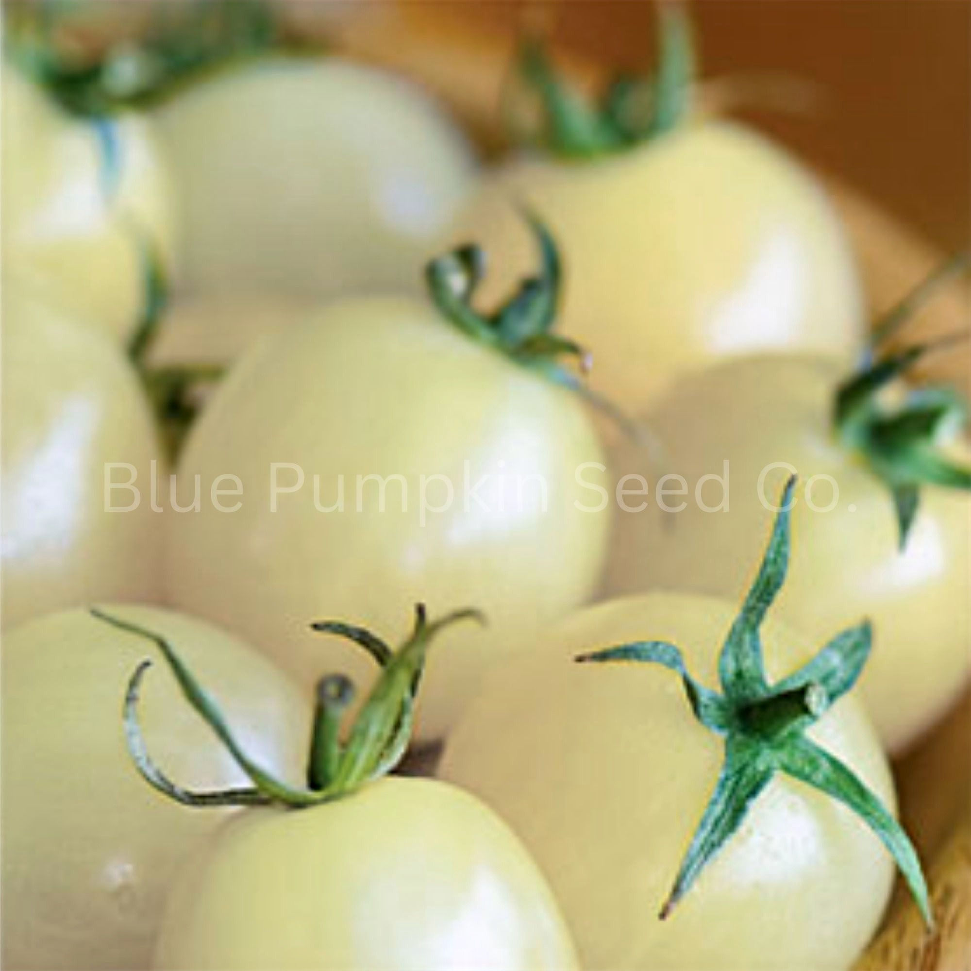 Italian Ice tomatoes in a small basket.