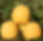 Thumbnail: Pile of Lemonade F1 hybrid pumpkins