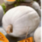 A Super Moon pumpkin on a counter top.