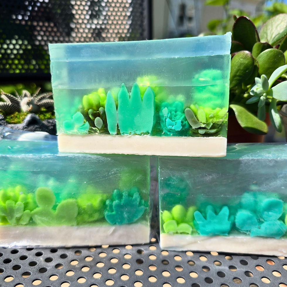 Thumbnail: Succulent soap on display.