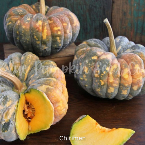 Tokyo Garden Japanese Pumpkin Seed Mix | Blue Pumpkin Seed Co