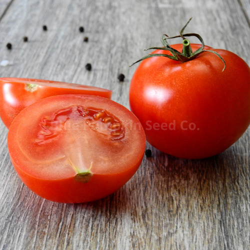 Martha Washington F1 tomato seeds (organic) | Blue Pumpkin Seed Co