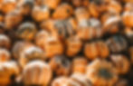 Thumbnail: Several Carnival squash in a bin.