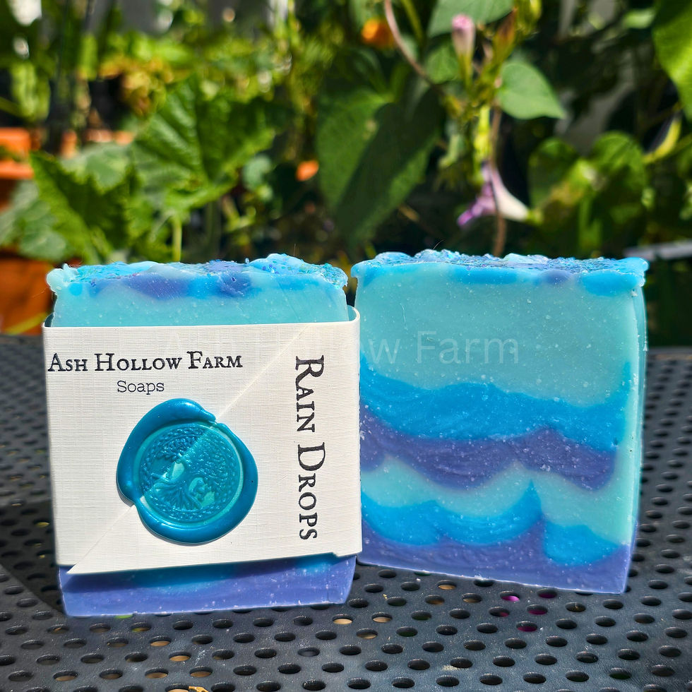 Our Rainy Drops soap that smells like air after a fresh rain.