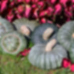 Several Sugar Cup pumpkins surrounded by red foliage.