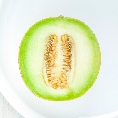 Green Flesh Honeydew Melon seeds Blue Pumpkin Seed Co