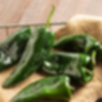 Poblano chilis on a piece of burlap.