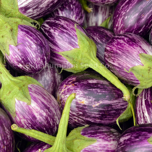 Galaxy of Stars Eggplant seeds | Blue Pumpkin Seed Co