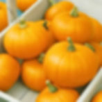 Thumbnail: Several Autumn Gold pumpkins in a wooden crate.