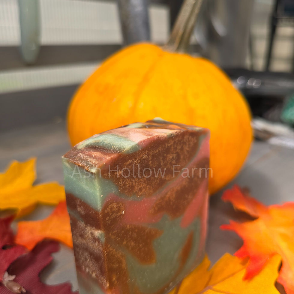 Green, brown, and red pumpkin apple butter soap.