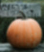 Thumbnail: A Winter Luxury Pie on display.
