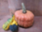 An Australian butter pumpkin next to gourds.