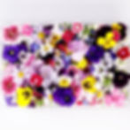 Several varieties of edible flowers are displayed in a mix.