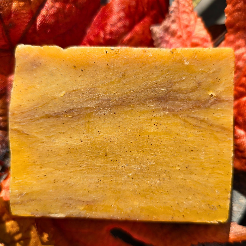 Miniatura: A Top view of a bar of our Autumn Spice Soap.