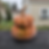 Shishigatani pumpkins in various stages of maturity and color.