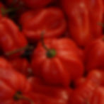 Thumbnail: A close up of several red hot habanero chilis.