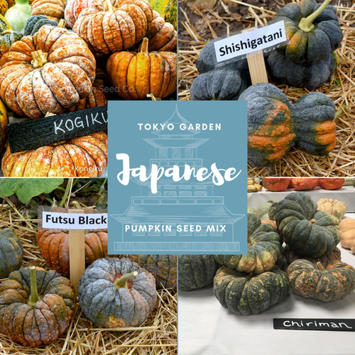 Tokyo Garden Japanese Pumpkin Seed Mix | Blue Pumpkin Seed Co