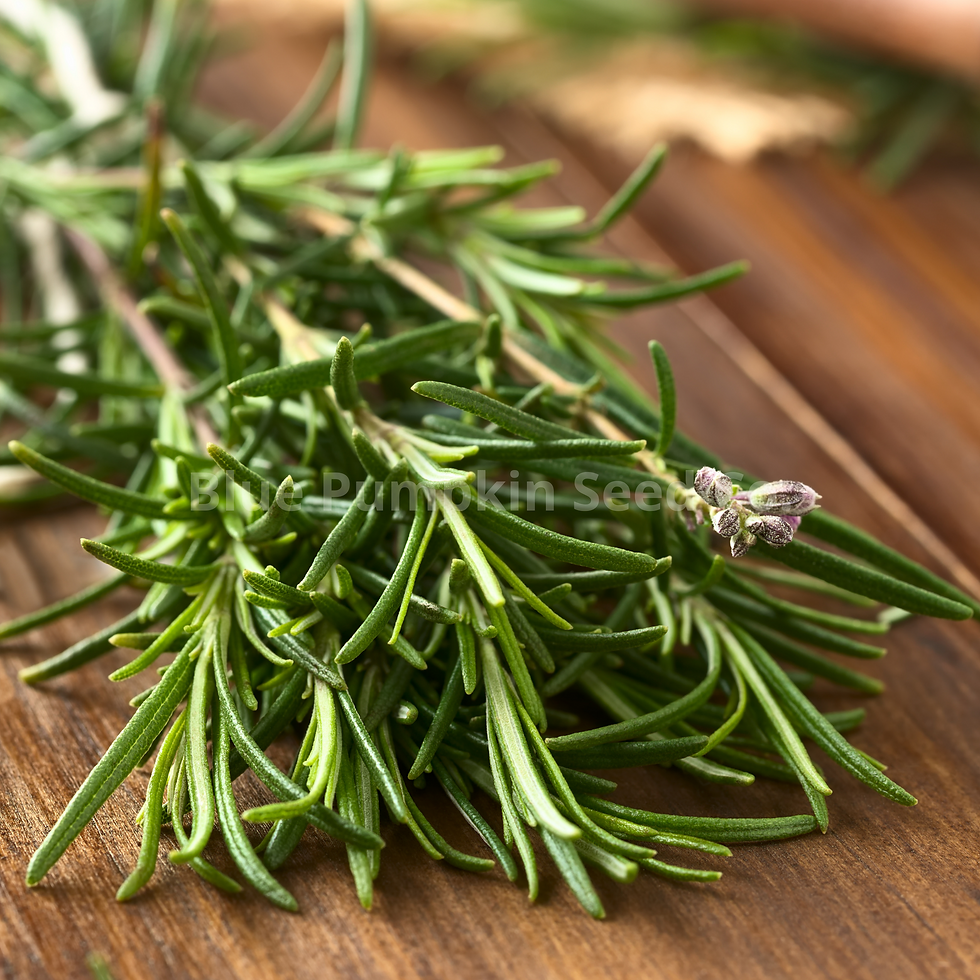 Thumbnail: A fresh sprig of rosemary on a wooden cutting board.