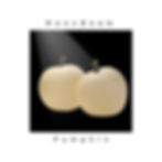 Two Moon Beam F1 pumpkins in a dark setting .