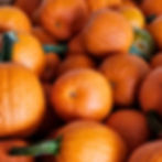 Autumn pearl pumpkins.