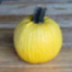 A side view of the Lemon Sun F1 pumpkin.